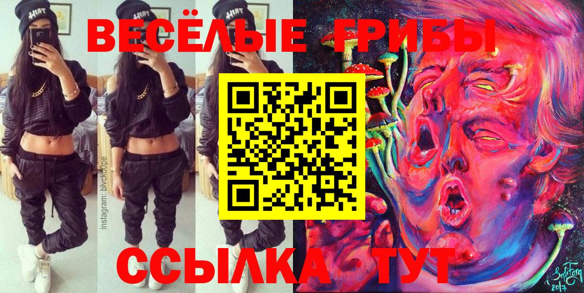 Псилоцибиновые грибы прущие грибы  Вход с VPN  как найти закладки  Владикавказ 